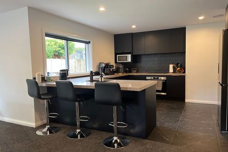 Photo of property in 95b Linton Street, West End, Palmerston North, 4410