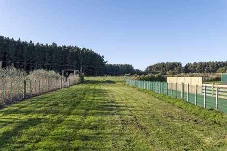 Photo of property in 11 Carex Grove, Foxton Beach, Foxton, 4815