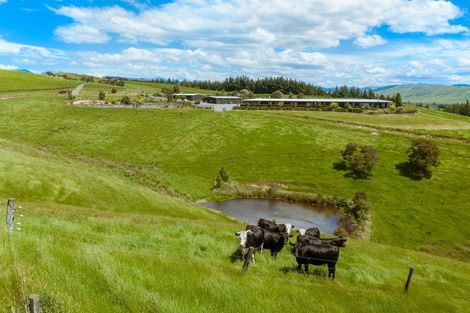 Photo of property in 421 Delta Lake Heights, Renwick, Blenheim, 7271