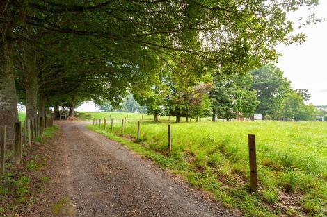 Photo of property in 113 Domain Road, Putaruru, 3482