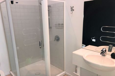 Photo of property in The Lofts, 47/185 Victoria Street, Te Aro, Wellington, 6011