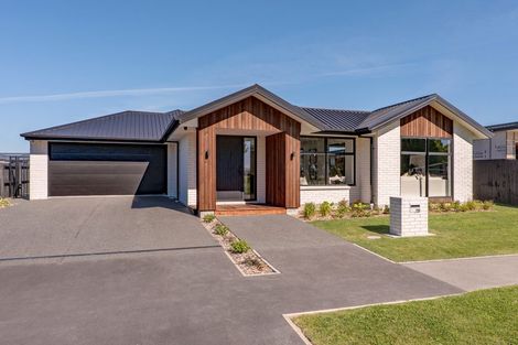 Photo of property in 119 Jimmy Adams Terrace, Lincoln, 7608