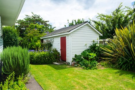 Photo of property in 56 Hall Street, Whataupoko, Gisborne, 4010