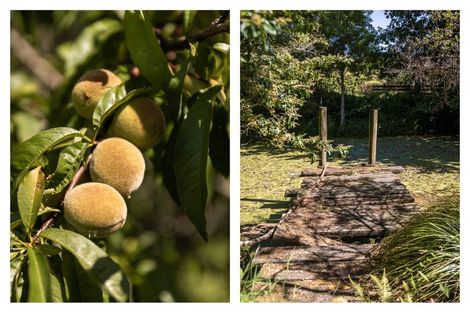 Photo of property in 22a Ngati Maru Sh25 Highway, Kopu, Thames, 3578