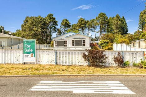 Photo of property in 10 Rawhira Road, Tauranga Taupo, Turangi, 3382