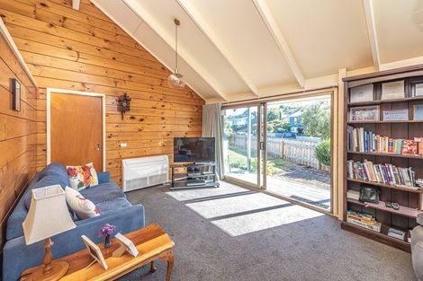 Photo of property in 21 Treadwell Street, Springvale, Whanganui, 4501