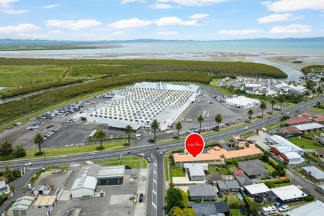 Photo of property in 103 Banks Street, Thames, 3500