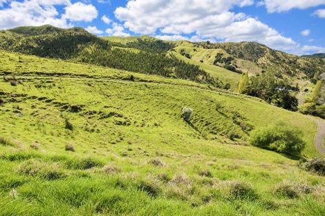 Photo of property in 61 Waikawau Valley Road, Kereta, Thames, 3575