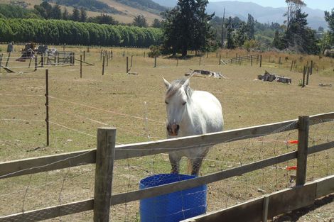 Photo of property in 76 Hakataramea Highway, Waimate, 7977