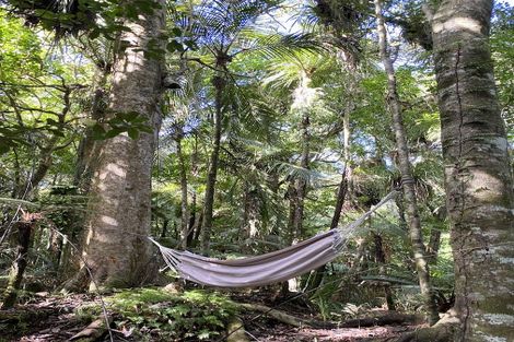 Photo of property in 1052 Wekaweka Road, Waimamaku, Kaikohe, 0473