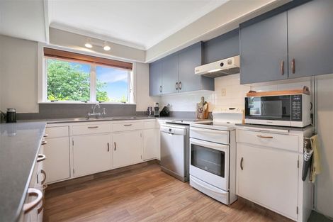 Photo of property in 85 Trevors Road, Hampstead, Ashburton, 7700