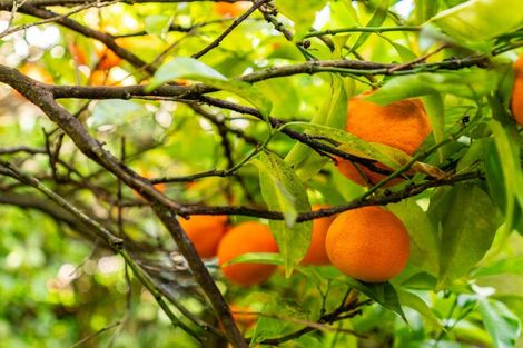 Photo of property in 82a Maunu Road, Woodhill, Whangarei, 0110