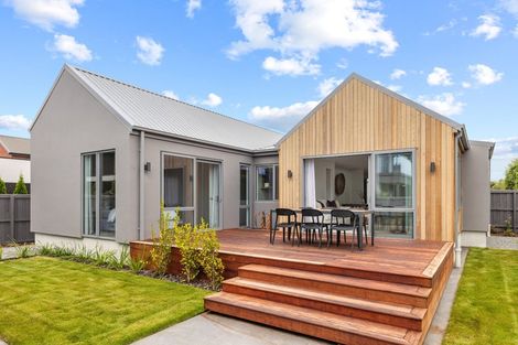 Photo of property in 17 Bradshaw Terrace, Riccarton, Christchurch, 8011