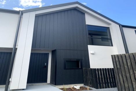 Photo of property in 44 David Street, Caversham, Dunedin, 9012