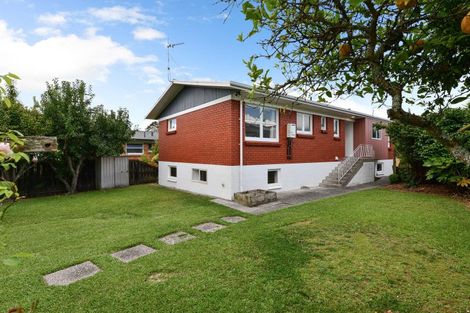 Photo of property in 6 Wake Street, Chartwell, Hamilton, 3210