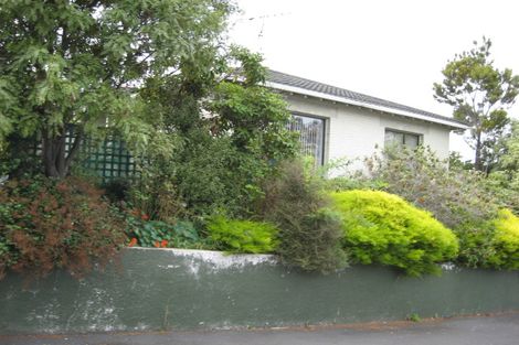 Photo of property in 6 Catherine Street, Caversham, Dunedin, 9012