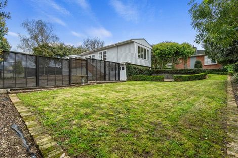 Photo of property in 85 Moore Street, Leamington, Cambridge, 3432