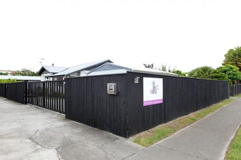 Photo of property in 621 Nelson Street North, Hastings, 4122