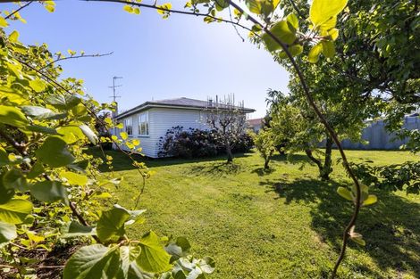 Photo of property in 43 Nelson Street, Mayfield, Blenheim, 7201