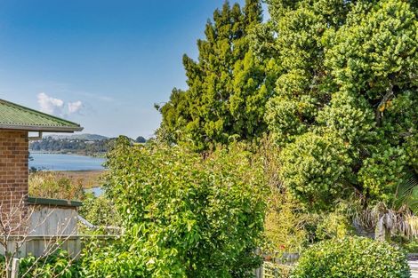 Photo of property in 542 Fraser Street, Greerton, Tauranga, 3112