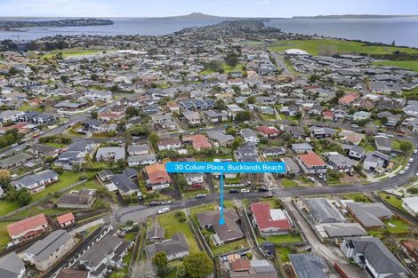 Photo of property in 30 Colum Place, Bucklands Beach, Auckland, 2014