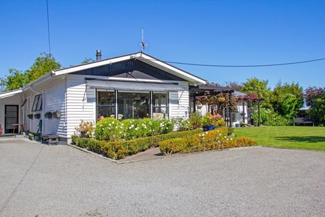 Photo of property in 31 Titoki Street, Lansdowne, Masterton, 5810