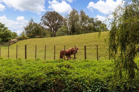 Photo of property in 47 Pook Road, Buckland, Pukekohe, 2677