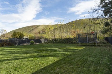 Photo of property in 20 Perriam Place, Mount Pisa, Cromwell, 9383