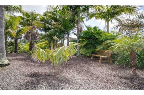 Photo of property in 17 Karaka Drive, Kerikeri, 0230