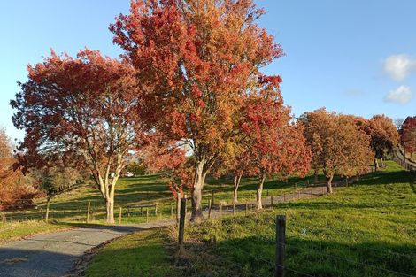 Photo of property in 76b Scott Road, Morrinsville, 3372