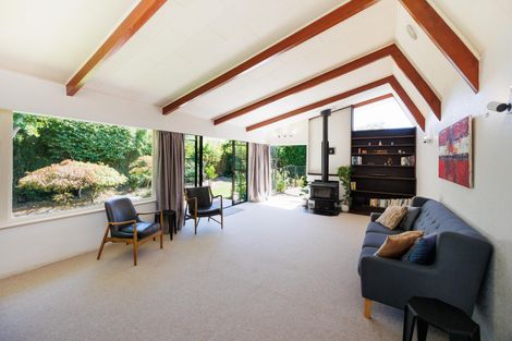 Photo of property in 50 Windsor Street, Terrace End, Palmerston North, 4410