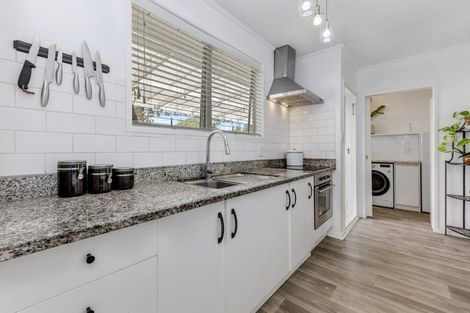 Photo of property in 11 Goodwin Drive, Rosehill, Papakura, 2113