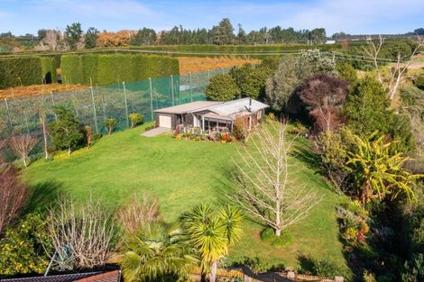 Photo of property in 3 Donelle Place, Te Puke, 3119