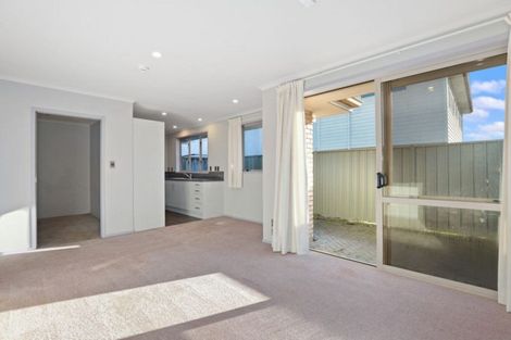 Photo of property in 15e Paterson Street, Frankton, Hamilton, 3204