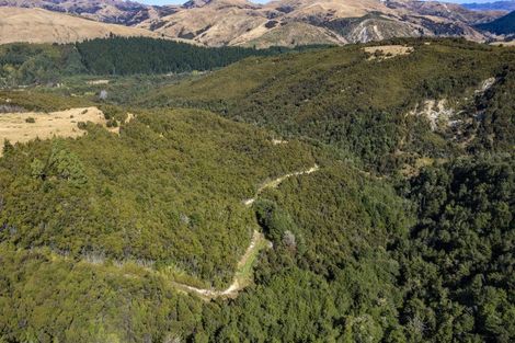 Photo of property in 253 Mount Lyford Forest Drive, Lyford, Waiau, 7395