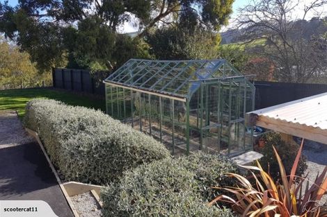 Photo of property in 32 Kilgour Street, Roslyn, Dunedin, 9010