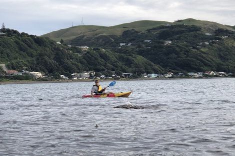 Photo of property in 20 Ocean Parade, Pukerua Bay, 5026