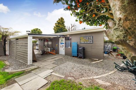 Photo of property in 393 Ruahine Street, Terrace End, Palmerston North, 4410
