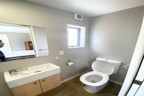 Photo of property in 65a Barbour Street, Waltham, Christchurch, 8011