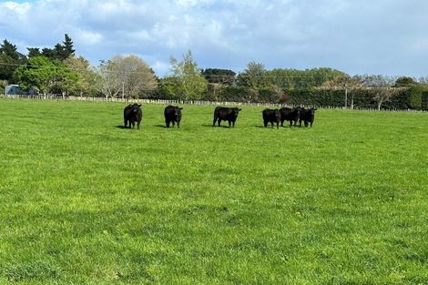 Photo of property in 64 Matahiwi Road, Matahiwi, Masterton, 5888