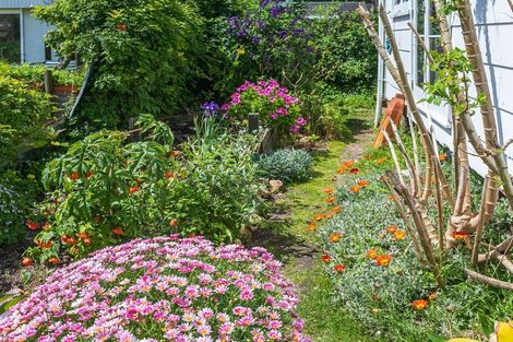 Photo of property in 201 Robert Street, Thames, 3500