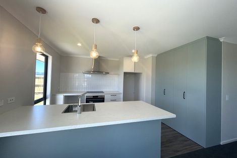 Photo of property in 19 Rubus Street, Appleby, Richmond, 7020