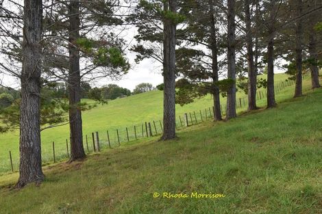 Photo of property in 69 Matakohe Wharf Road, Matakohe, 0593