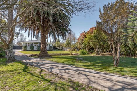 Photo of property in 69 Te Ore Ore Road, Lansdowne, Masterton, 5810
