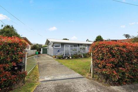 Photo of property in 35 Arney Street, Paeroa, 3600