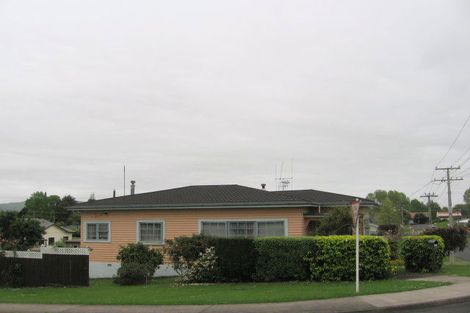 Photo of property in 17 Wood Street, Paeroa, 3600