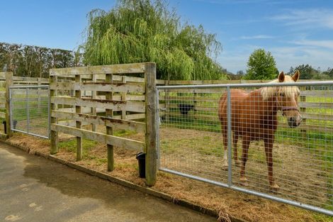 Photo of property in 30a Thompsons Track, Aongatete, Katikati, 3178