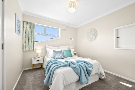 Photo of property in 14 Orr Crescent, Hutt Central, Lower Hutt, 5011