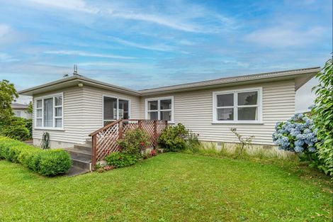 Photo of property in 20 Braemar Street, Levin, 5510
