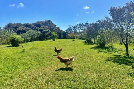 Photo of property in 83 Mcmanus Road, Houhora, Kaitaia, 0484